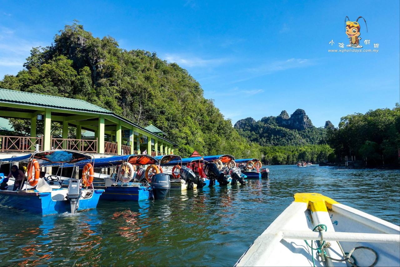 Jelajahi Mangrove Langkawi: Surga Ekosistem Pesisir